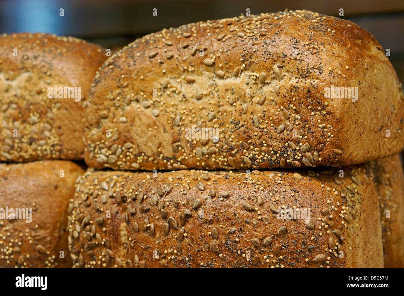 Panes, hogaza de pan de grano entero, pan Multigrain Foto de stock