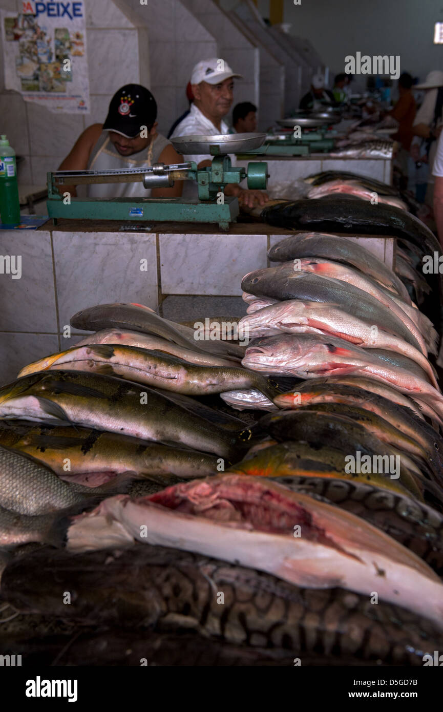 El mercado de pescado de Santarém, en la Amazonia brasileña Foto de stock