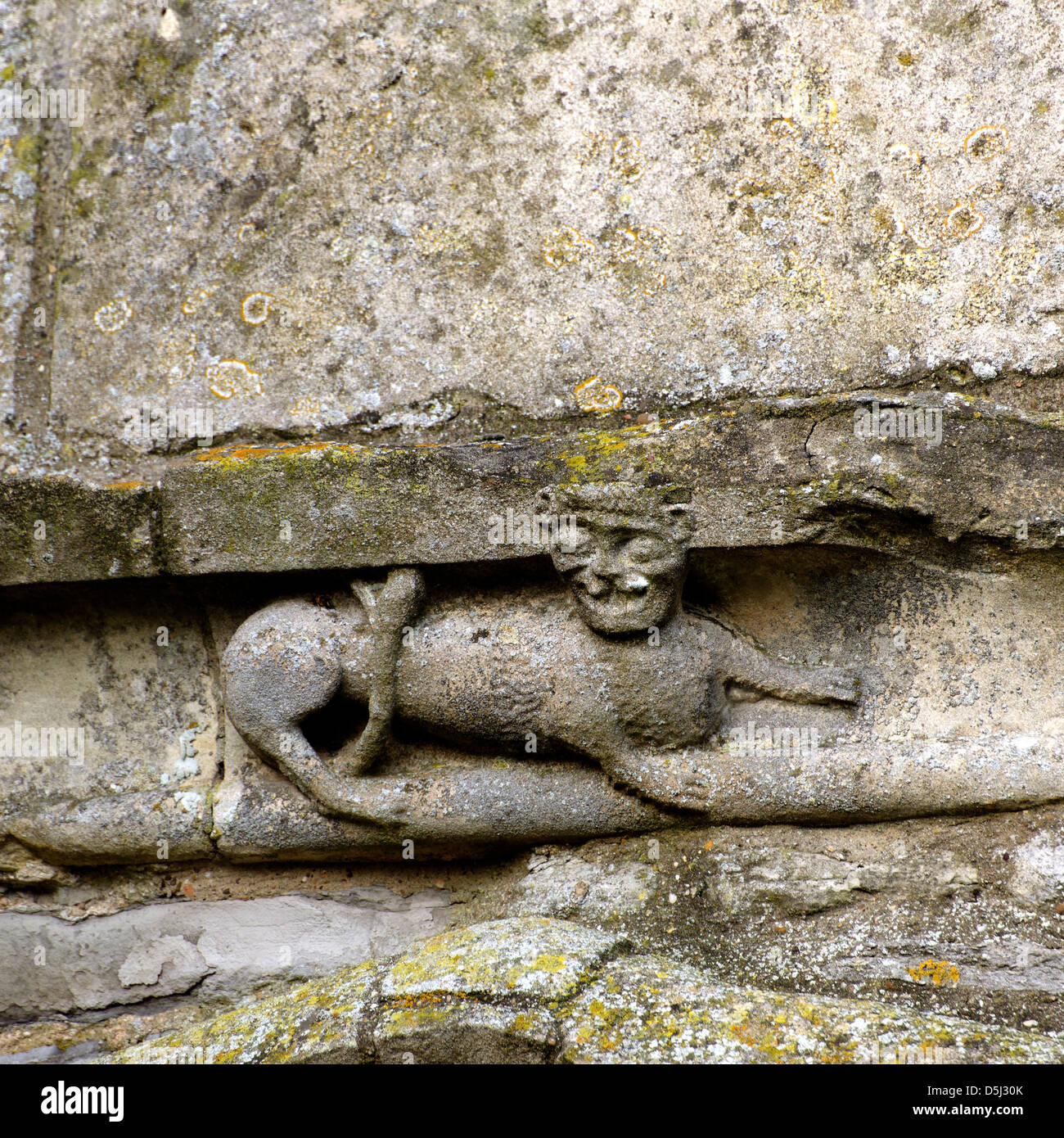 Tallar la piedra de un león con el rabo entre las piernas en el muro sur de  la nave, Iglesia de St Giles, Newark, Nottinghamshire Fotografía de stock -  Alamy