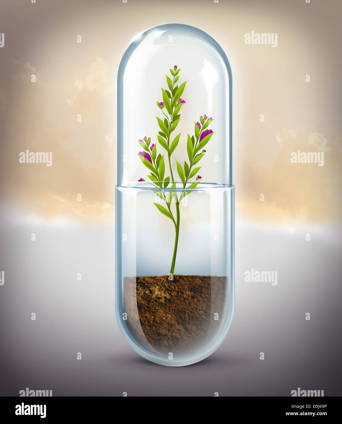 Imagen ilustrativa de plantas creciendo en la cápsula que representa la medicina natural Foto de stock