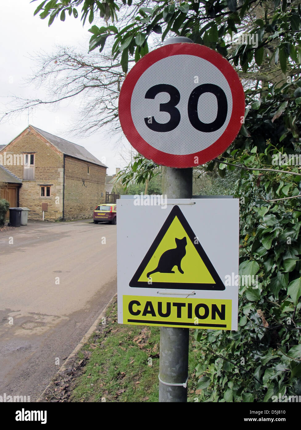 Ejecutar cerca nariz Límite de velocidad de 30 mph signo y signo de advertencia gatos cruzar en  una carretera rural en Inglaterra Fotografía de stock - Alamy