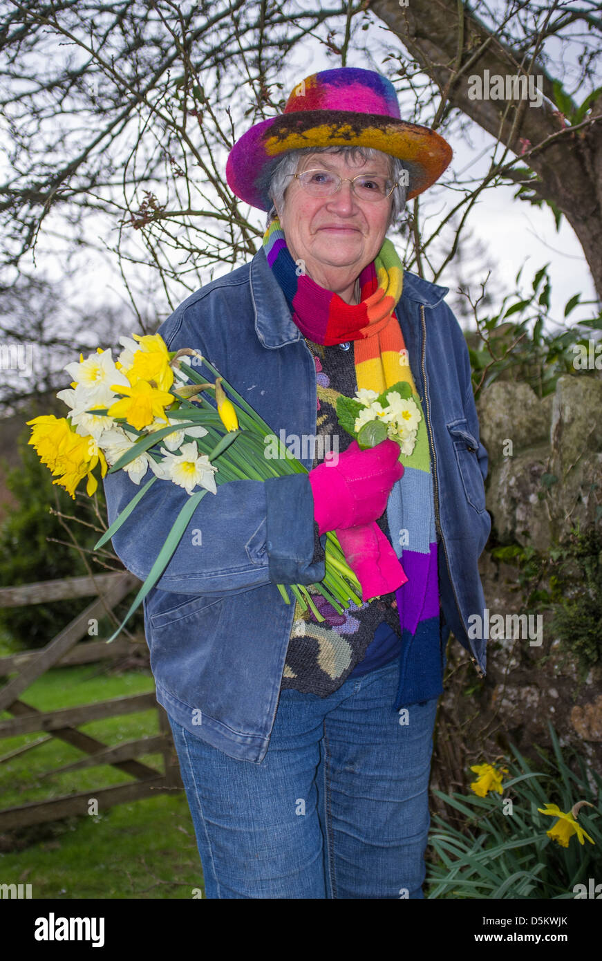 Mujer mayor vistosa de colores en su jardín sosteniendo un brazo lleno de narcisos y una postia de primaveras. Domingo de Pascua. Devon del Sur. REINO UNIDO Foto de stock