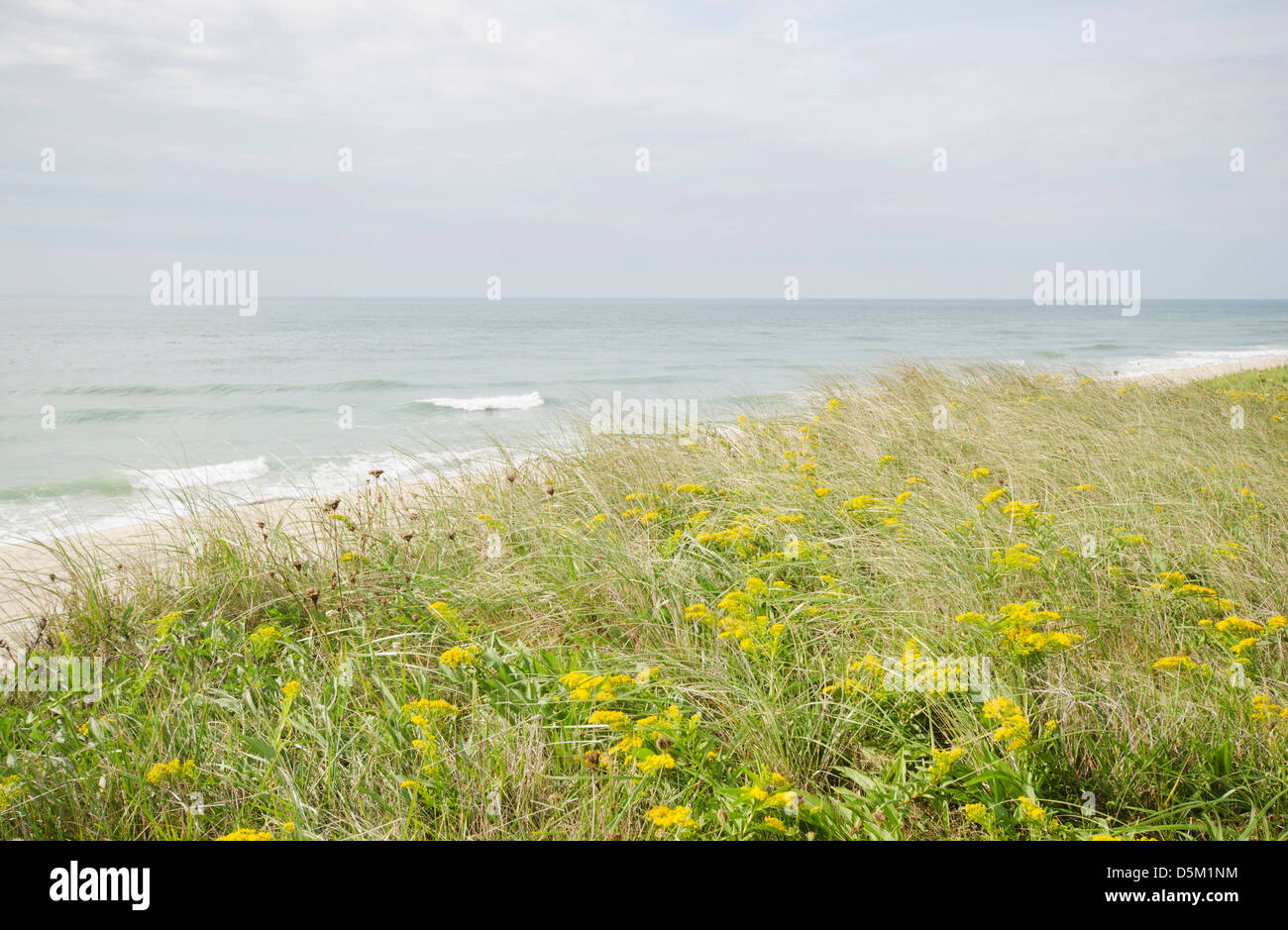 Ee.Uu., la isla de Nantucket, Massachusetts, vista de la playa de arena Foto de stock