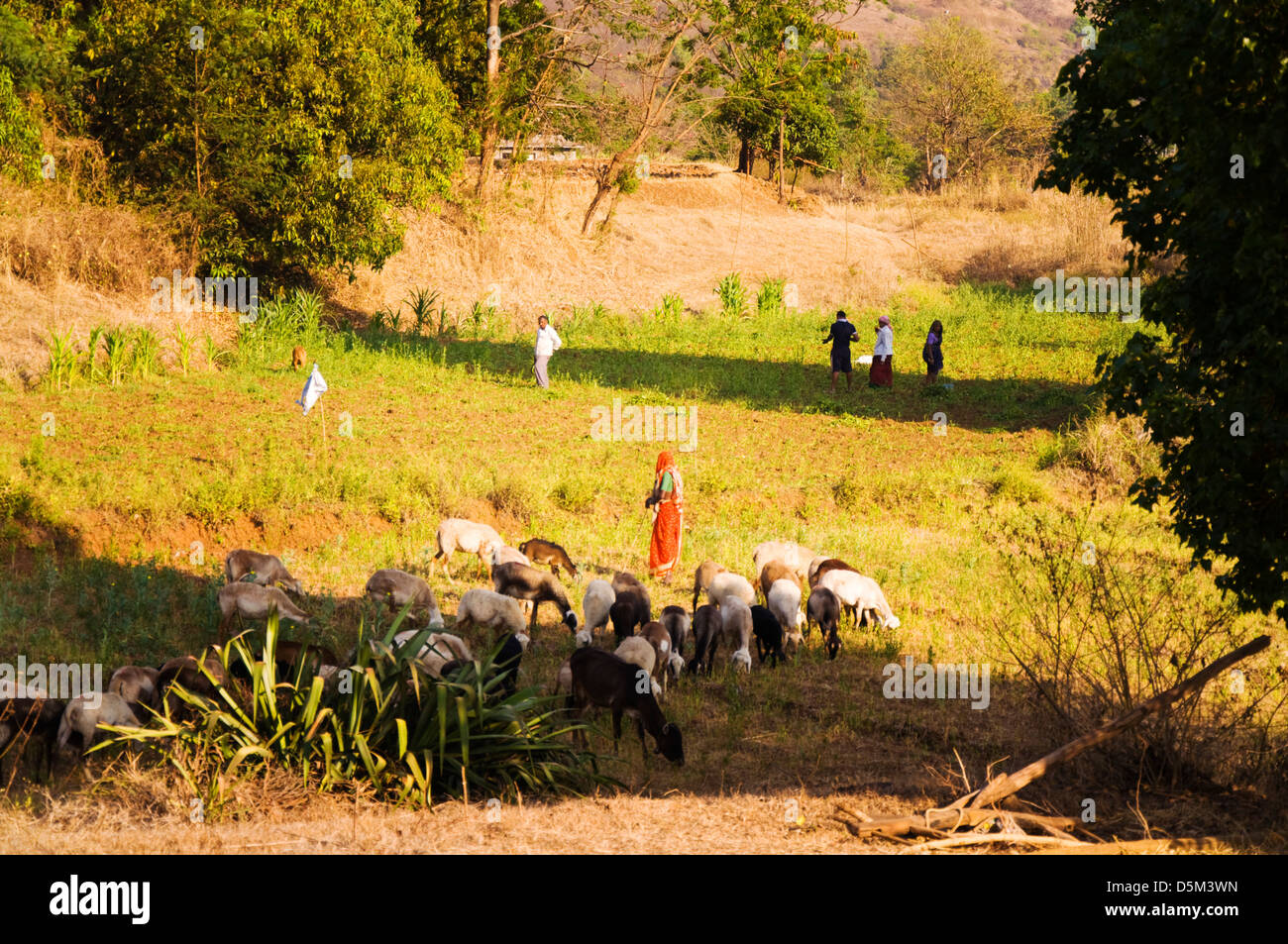 Comunidad agrícola en India rural aldea Valle Mulshi Khubalivali Paud Maharashtra India Foto de stock