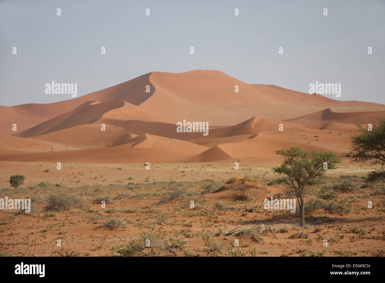 Las dunas de arena, Dead Vlei, cerca de Sossusvlei, el desierto de Namib, el Parque Nacional Namib-Naukluft, Namibia, África Foto de stock