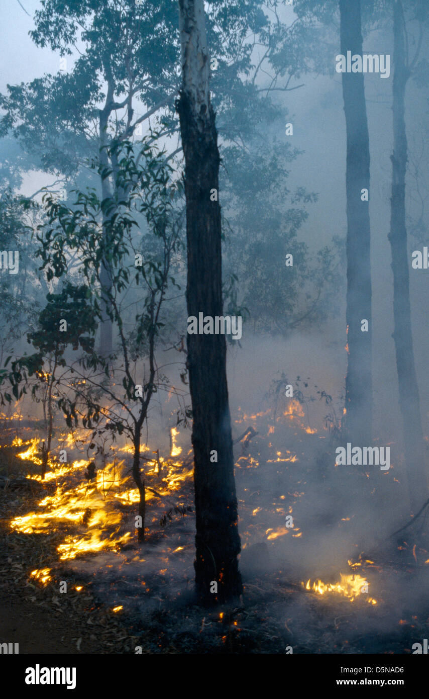 Territorio del Norte de Australia Parque Nacional Península de Cobourg Gurig Bush fuego siete espíritu Bay Foto de stock