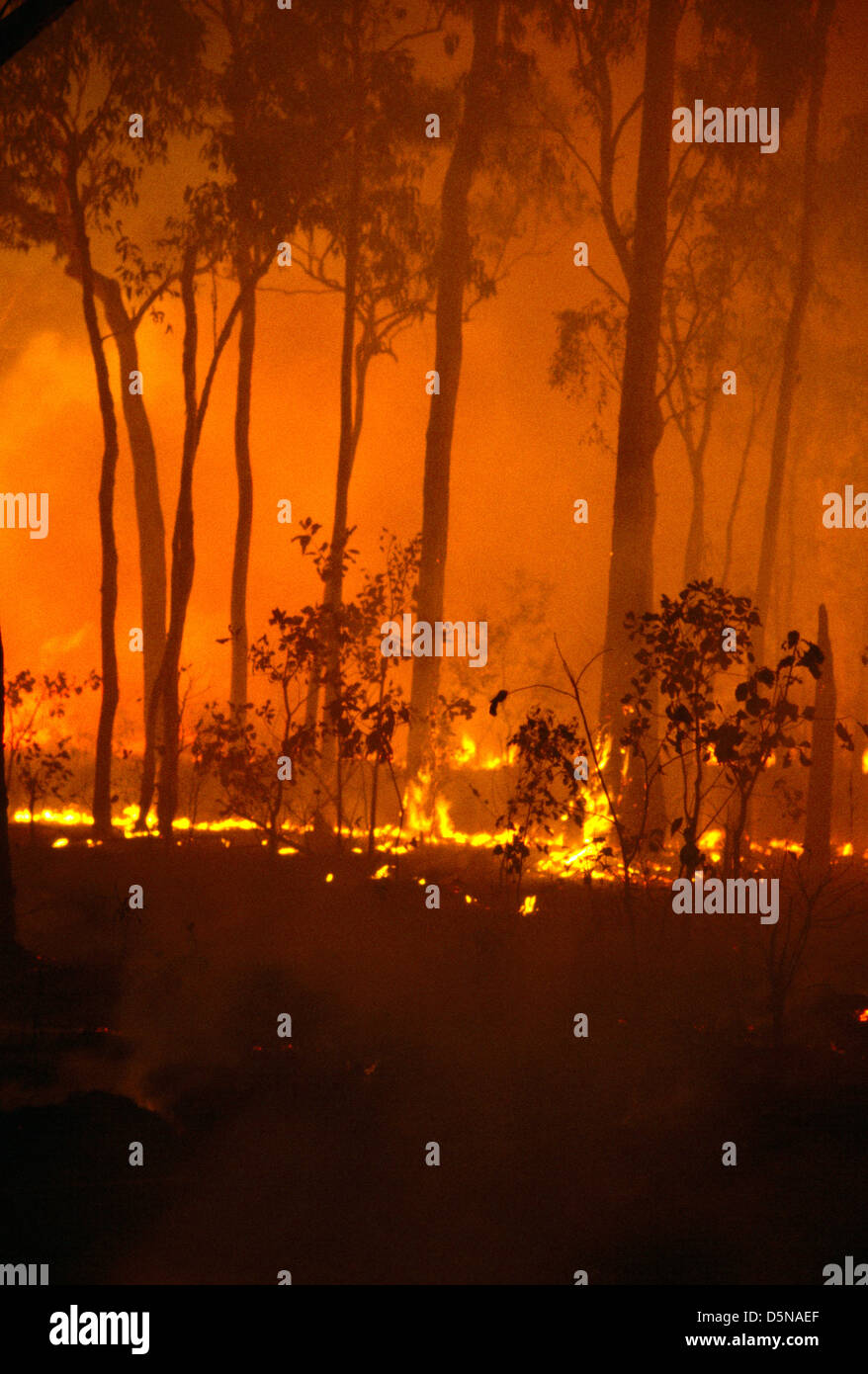 Territorio del Norte de Australia Parque Nacional Península de Cobourg Gurig Bush fuego siete espíritu Bay Foto de stock