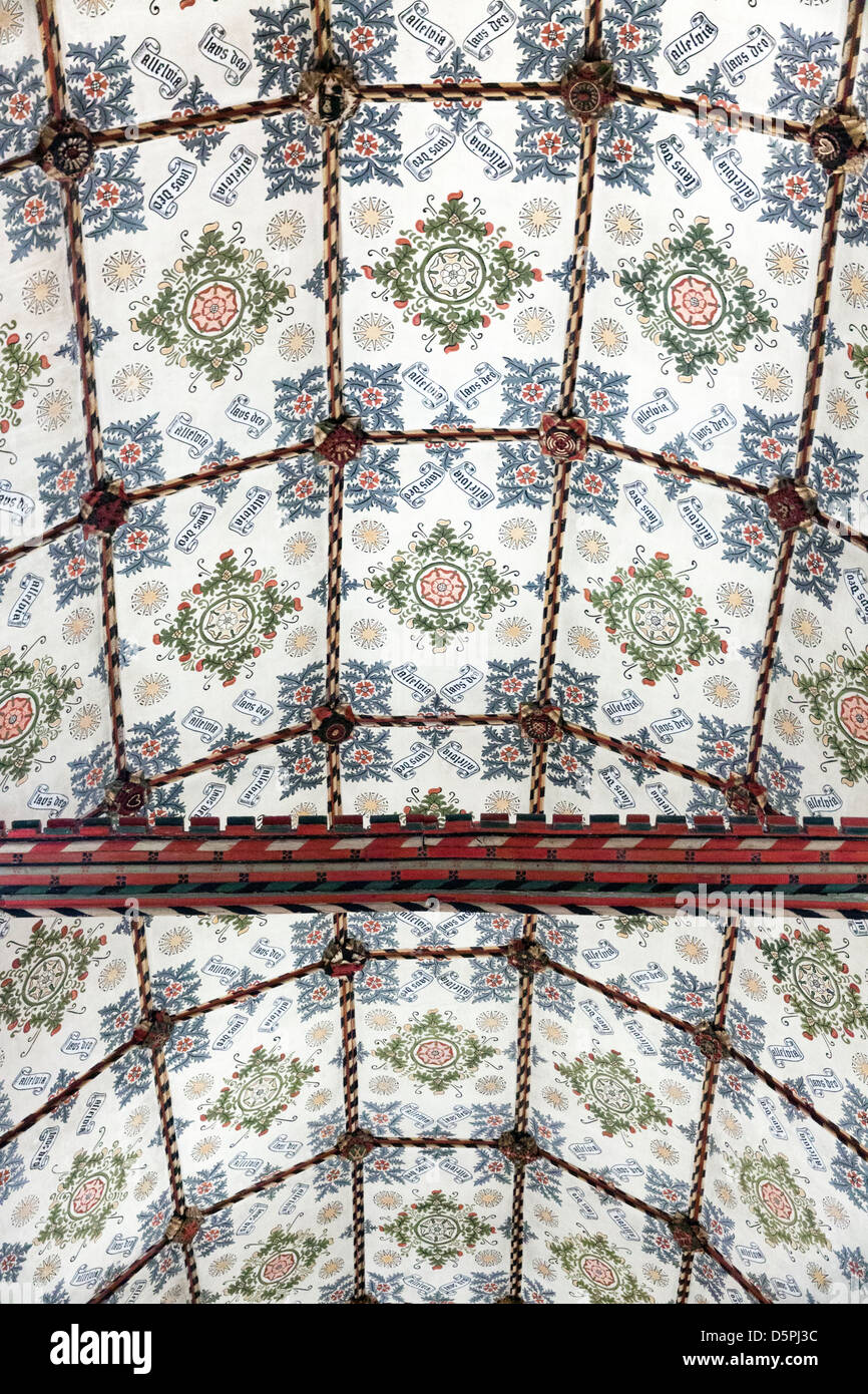 Rosetón de techo y luz sombra Fotografía de stock - Alamy