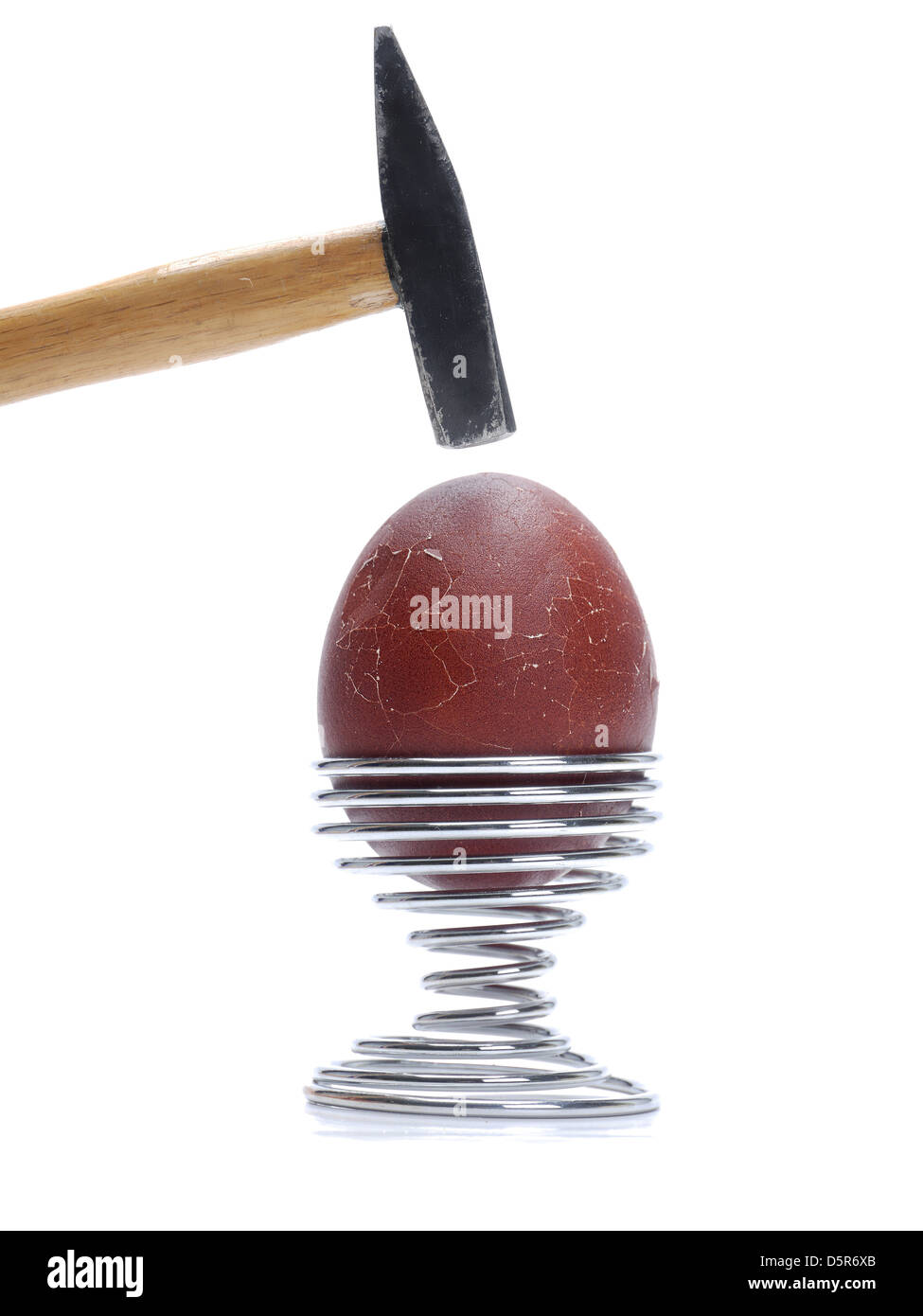 Huevo con cáscara de huevo de color marrón oscuro en el soporte de metal siendo golpeado por disparo de martillo en fondo blanco. Foto de stock