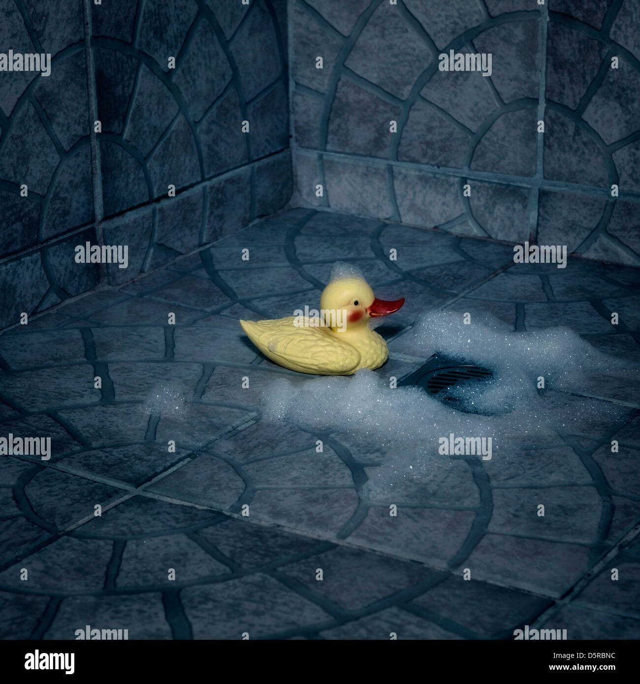 Un pato de goma con espuma sentado en una ducha Foto de stock