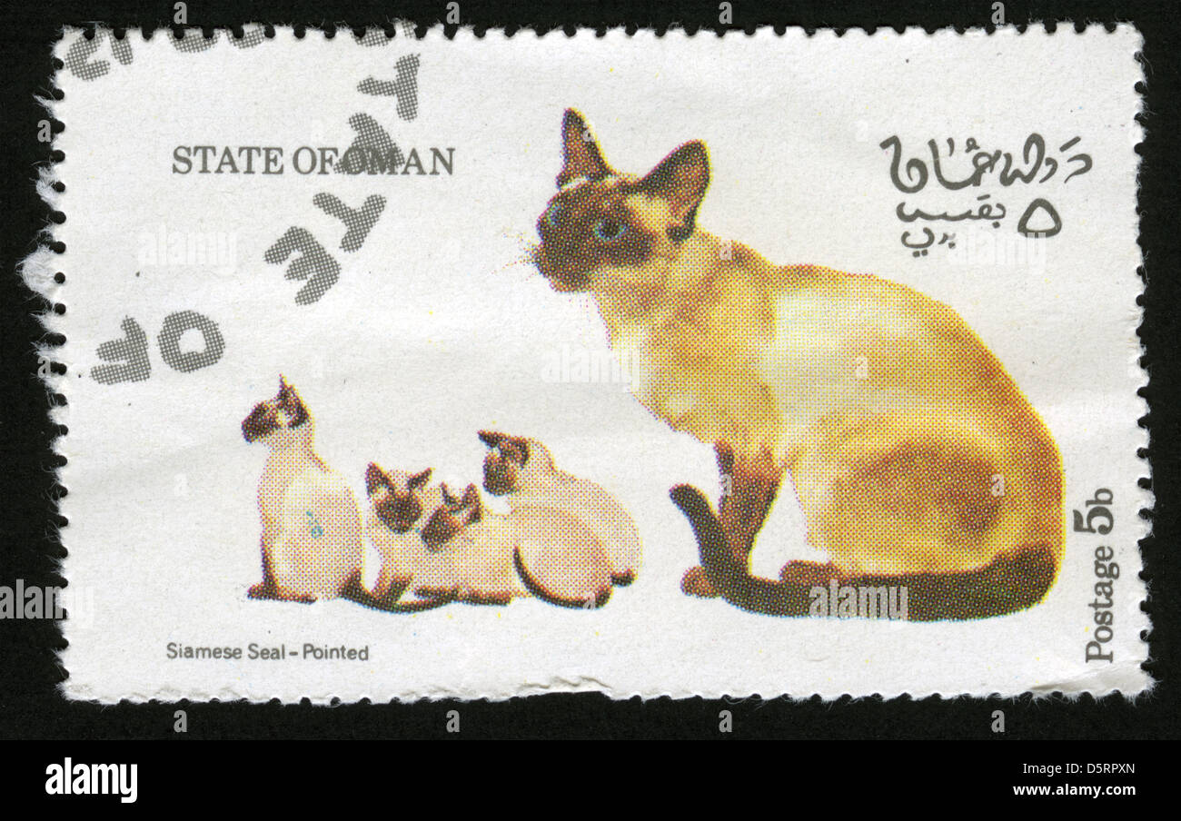 Estado de Omán, matasellos,,sello,mamíferos,cat,gatos Fotografía de