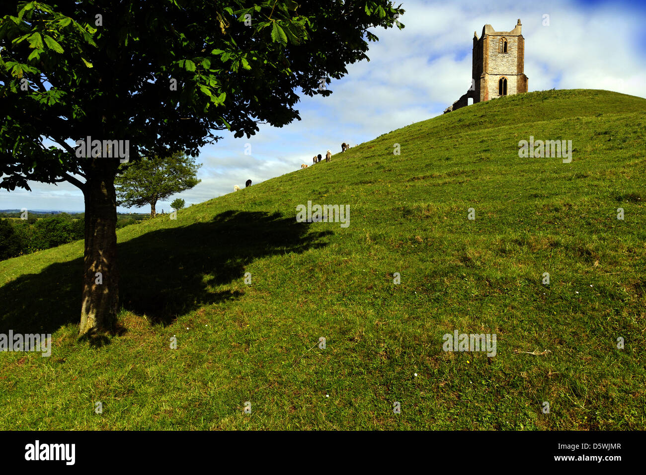 Vista de las ruinas de la Iglesia de San Miguel en la parte superior de la madriguera, Burrowbridge Mump, Somerset, Reino Unido Foto de stock
