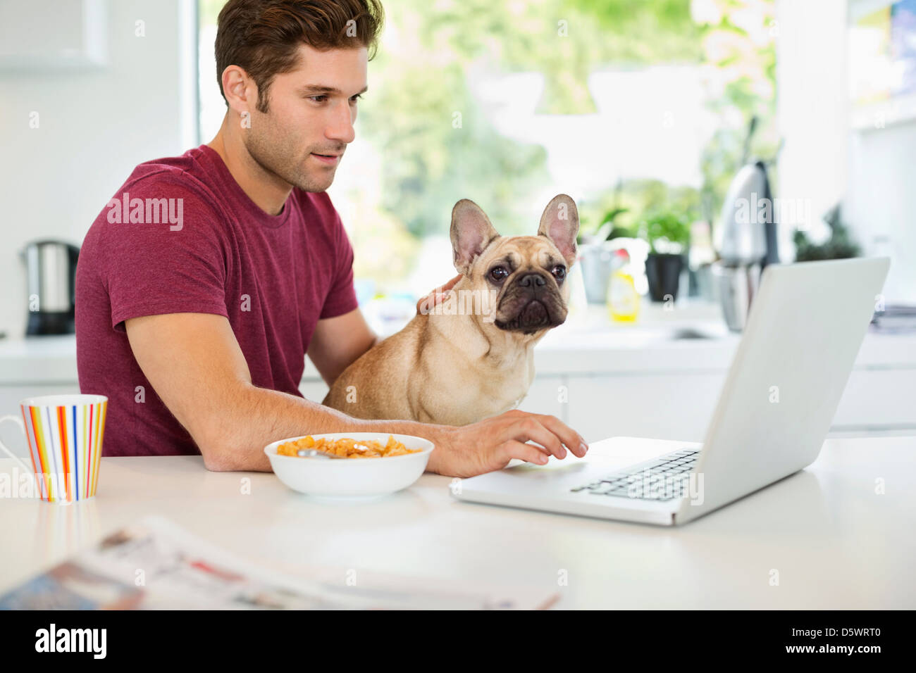 Hombre con un portátil de acariciar a perros en la cocina Foto de stock