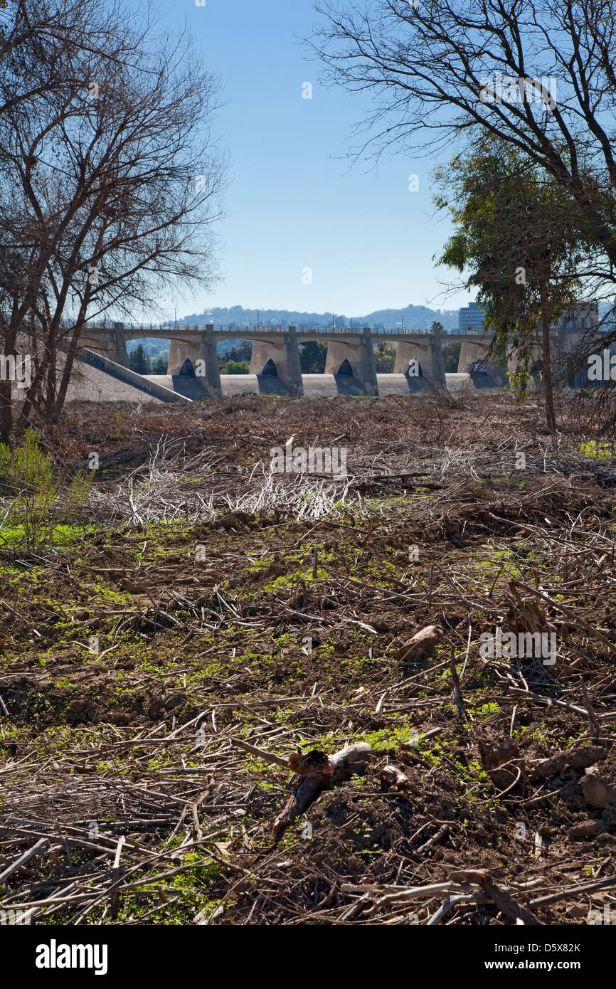 En diciembre de 2012, el Cuerpo de Ingenieros del Ejército arrasaron en 40 acres de vegetación en la Reserva de Vida Silvestre de la cuenca Sepúlveda Foto de stock