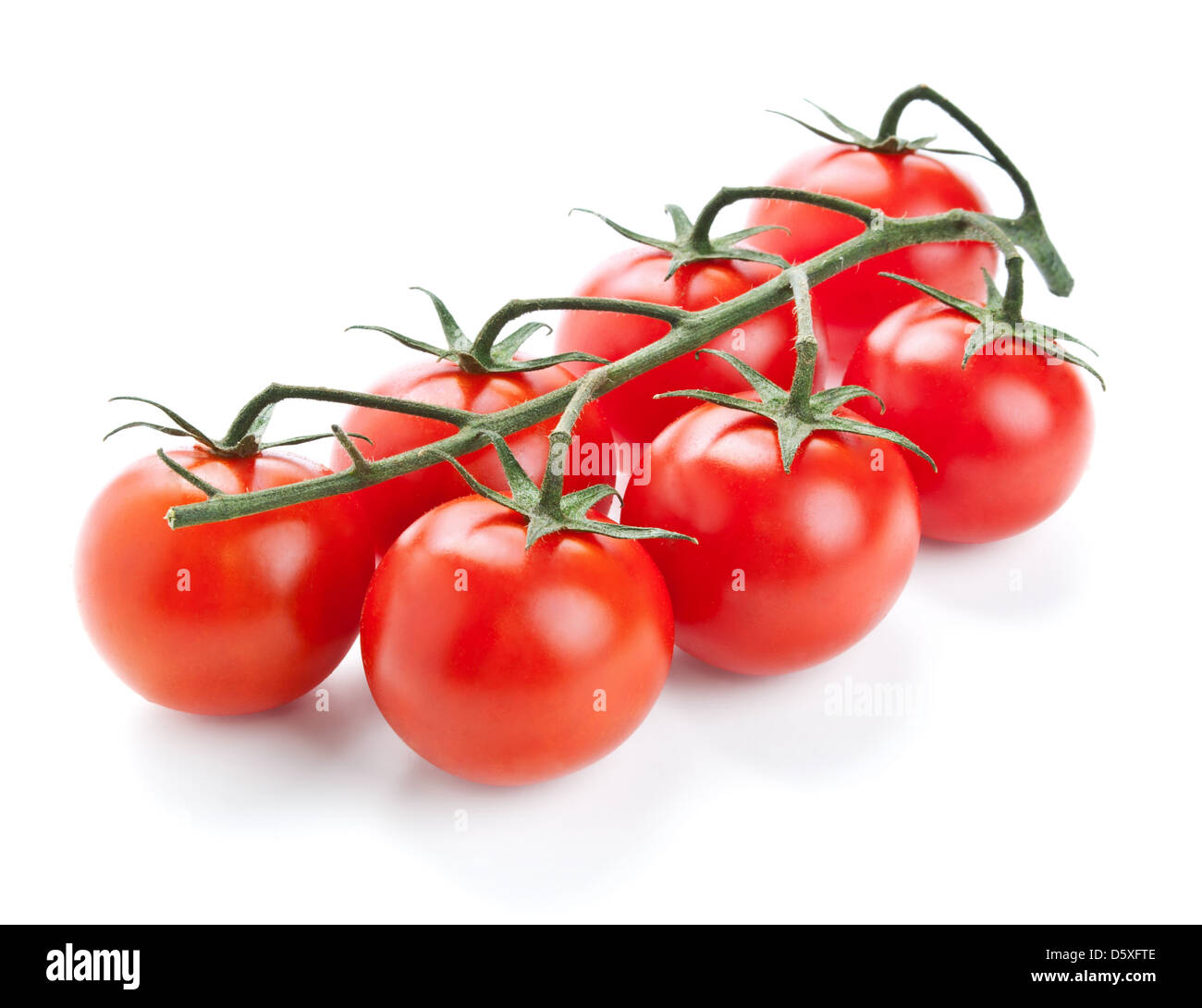 Ramita fresca de tomate cherry aislado sobre fondo blanco. Foto de stock