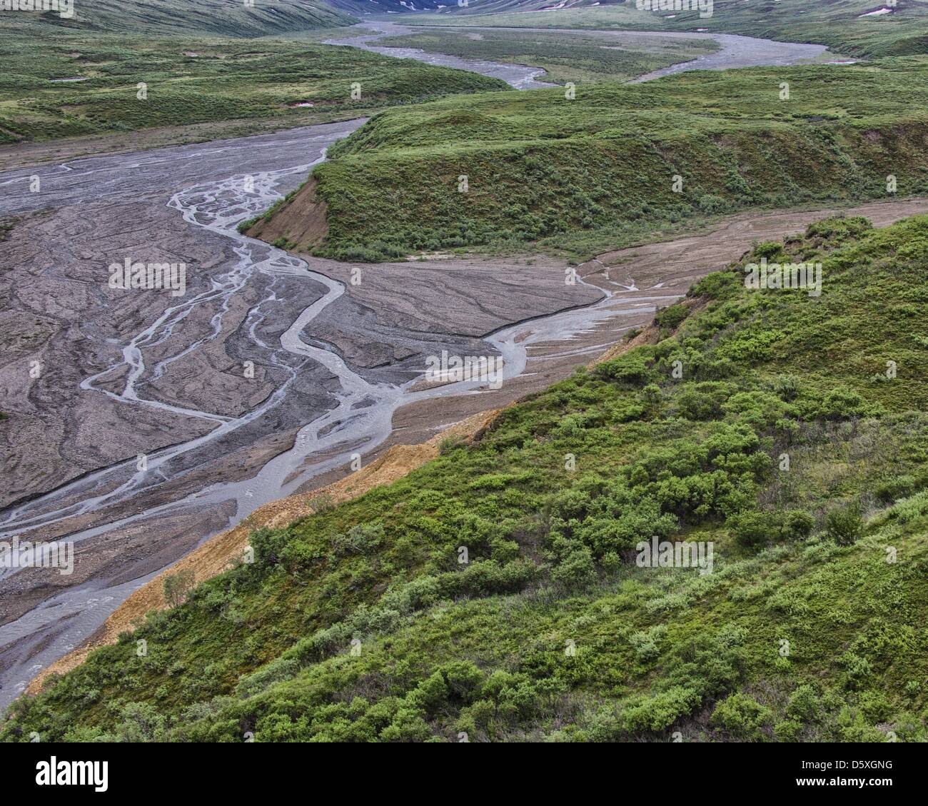 Junio 27, 2012 - Denali Boroigh, Alaska, EE.UU. - El glacial del valle tallado Toklat trenzada, uno de los ríos que atraviesan la tundra de los 6 millones de acres (24,500åÊkm) El Parque Nacional Denali y preservar. Cargados con residuos de rocas glaciales y el escurrimiento de la nieve que se derrite, modifican y entrelazan sus canales a través de los valles y radicalmente la influencia de la topografía. (Crédito de la Imagen: © Arnold Drapkin/ZUMAPRESS.com) Foto de stock