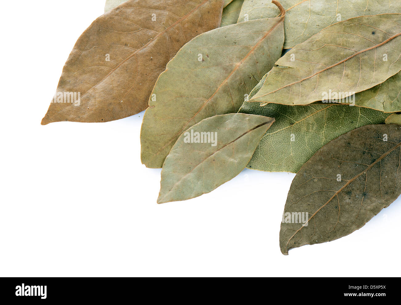 Hojas de laurel seco aislado en blanco Fotografía de stock Alamy