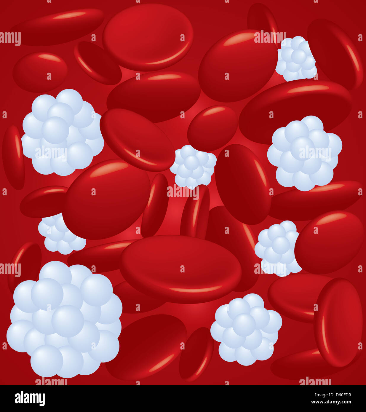 Los tipos de células sanguíneas Foto de stock