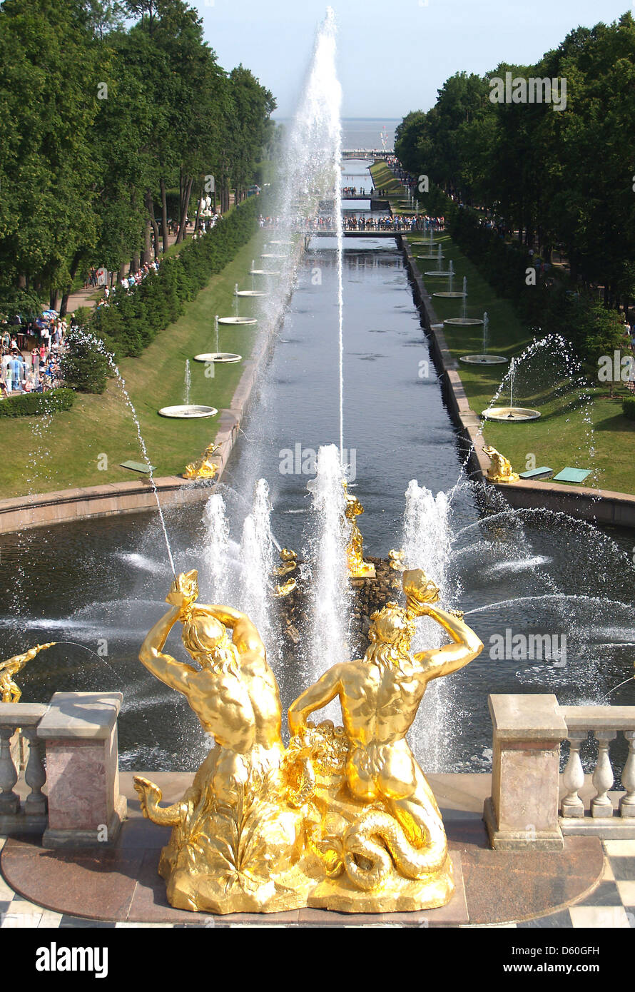 La fuente de Sansón y agua en Avenida Palacio Peterhof, San Petersburgo Foto de stock
