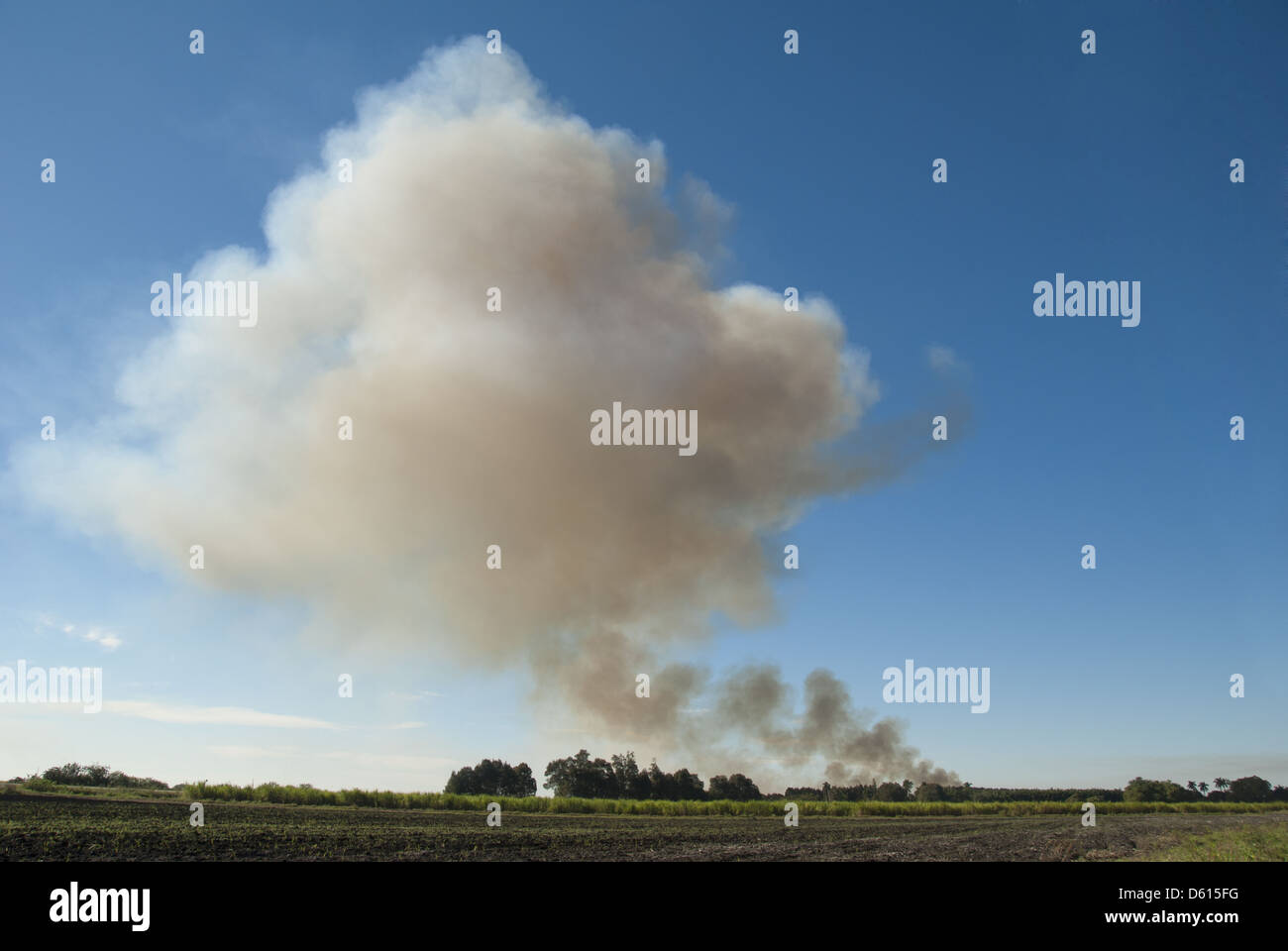Humo que sube de la quema de campos de caña de azúcar antes de la cosecha en el sur de la Florida, EE.UU. Foto de stock