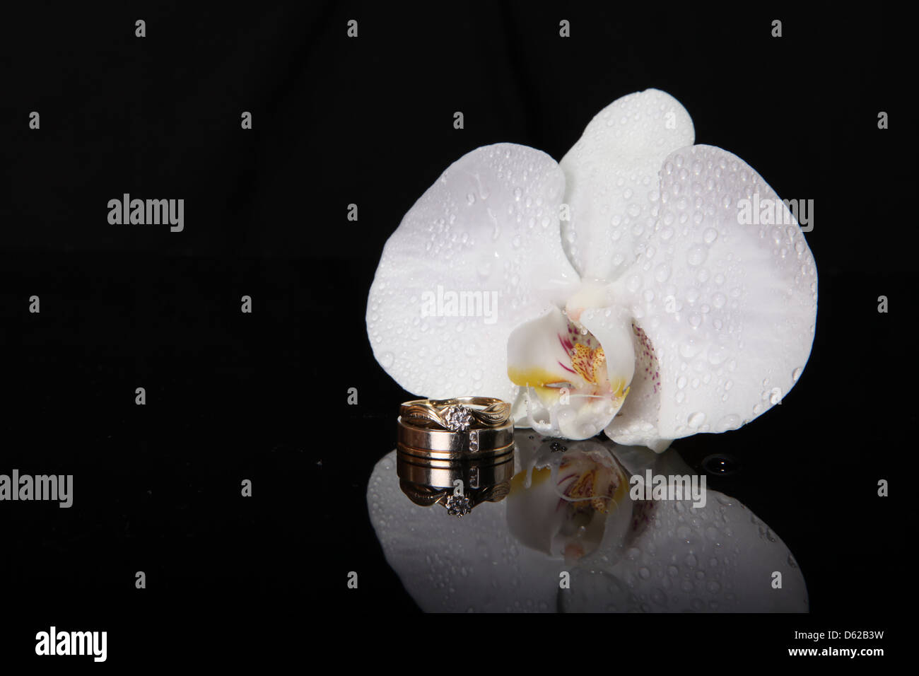 Compromiso, matrimonio, anillo, orquídea, flor, reflexión, negro, fondo Foto de stock