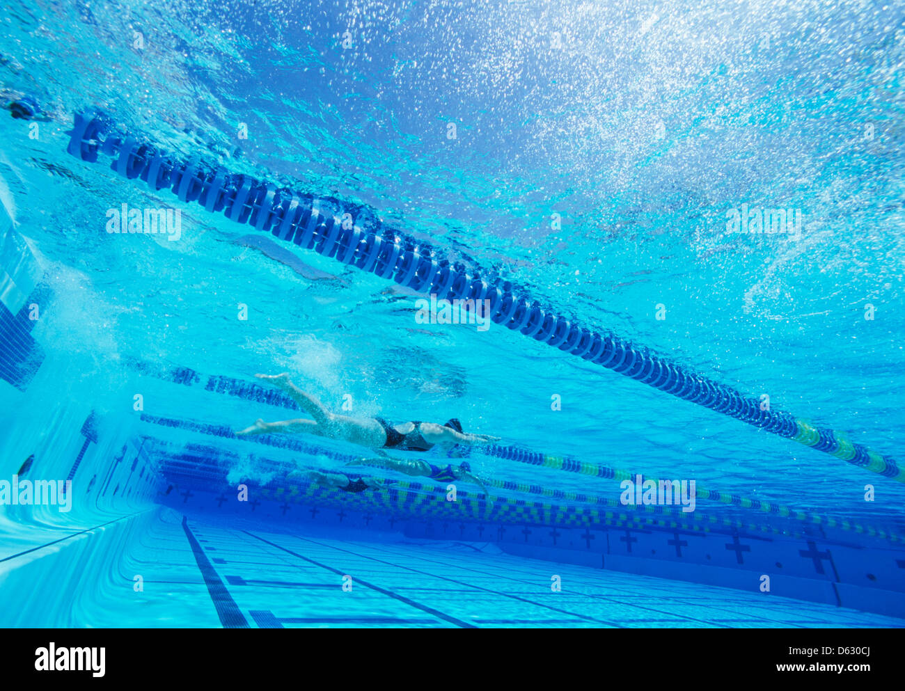 Los nadadores compitiendo juntos en la piscina Foto de stock