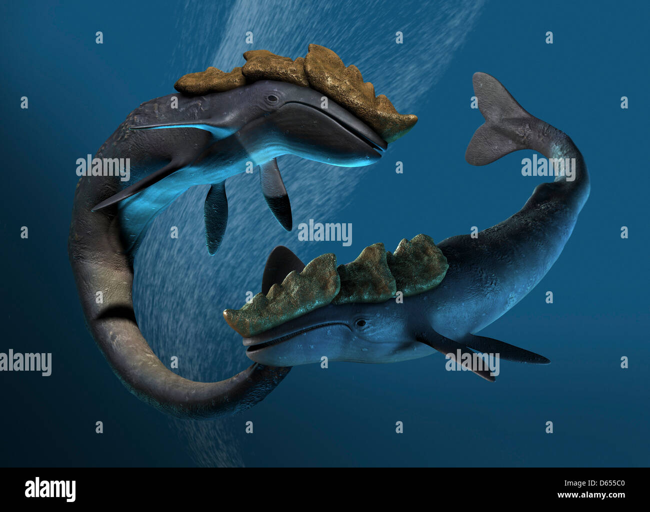 Monstruo marino leviatán fotografías e imágenes de alta resolución - Alamy