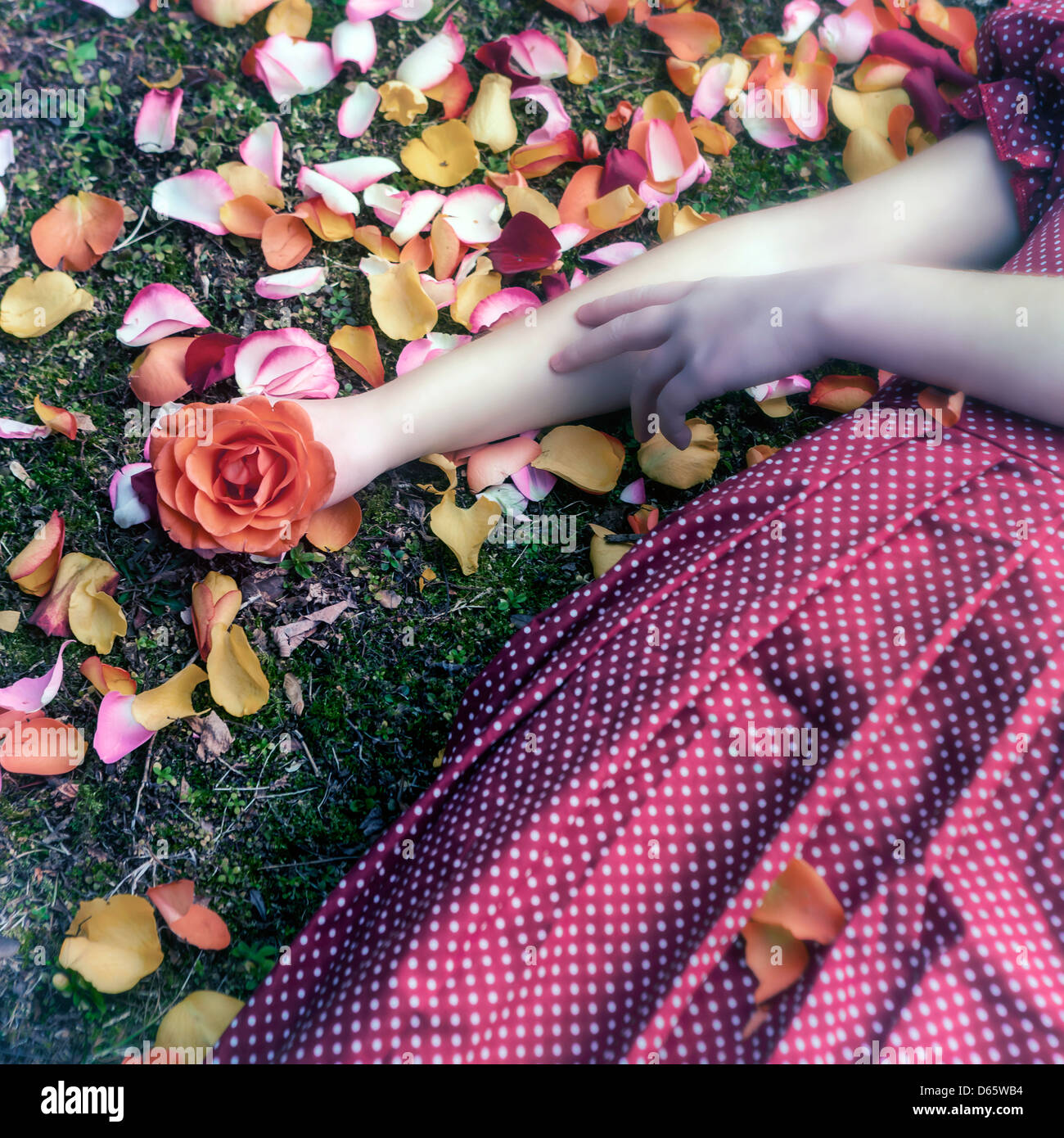 Una niña en un vestido rojo está tumbado en la hierba de entre pétalos, una rosa en su mano Foto de stock
