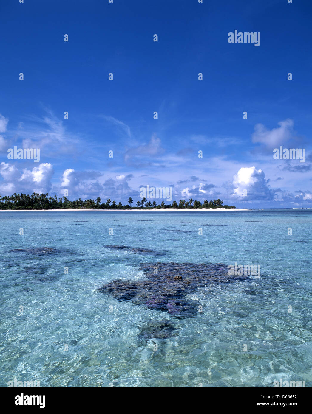 Isla Tropical, el atolón Aitutaki, Islas Cook, Océano Pacífico del Sur Foto de stock