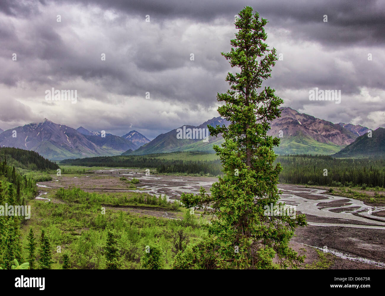 Junio 27, 2012 - Denali Boroigh, Alaska, EE.UU. - El glacial del valle tallado Toklat trenzada, uno de los ríos que atraviesan los bosques boreales y la tundra de los 6 millones de acres (24,500km), el Parque Nacional Denali y preservar. Cargados con residuos de rocas glaciales y el escurrimiento de la nieve que se derrite, modifican y entrelazan sus canales a través de los valles y radicalmente la influencia de la topografía. Las escarpadas montañas de la Cordillera de Alaska aumento en la distancia. (Crédito de la Imagen: © Arnold Drapkin/ZUMAPRESS.com) Foto de stock