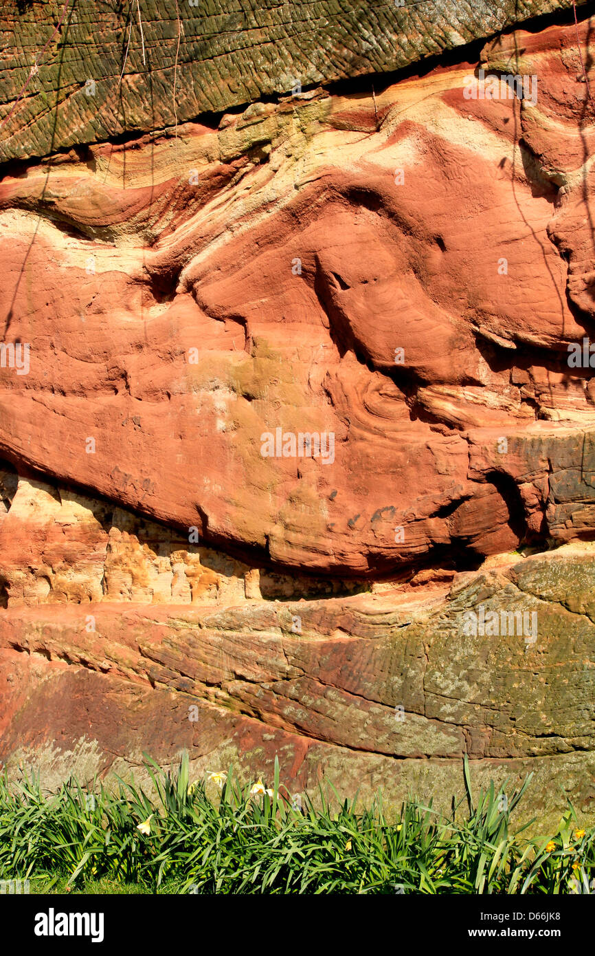 Hermoso ejemplo de geológicas plegadas nuevos estratos de arenisca roja en Chester, Reino Unido Foto de stock