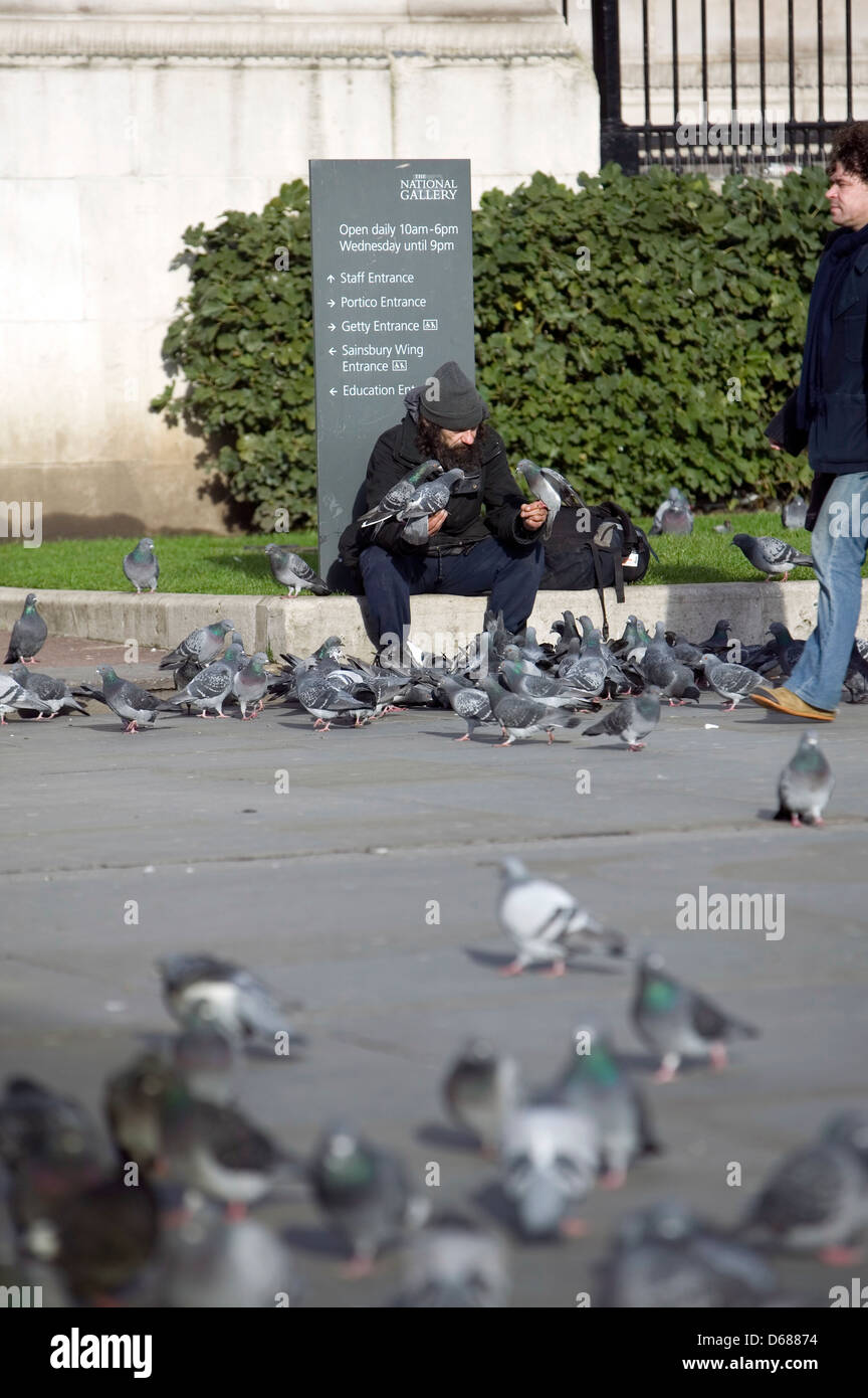 Palomas fuera de la Galería Nacional de Londres, Inglaterra, Reino Unido. Foto de stock