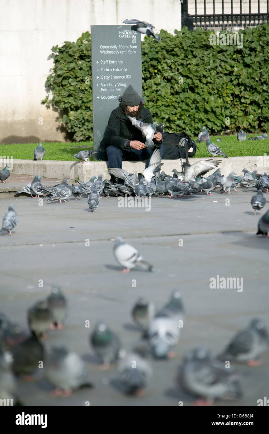 Palomas fuera de la Galería Nacional de Londres, Inglaterra, Reino Unido. Foto de stock