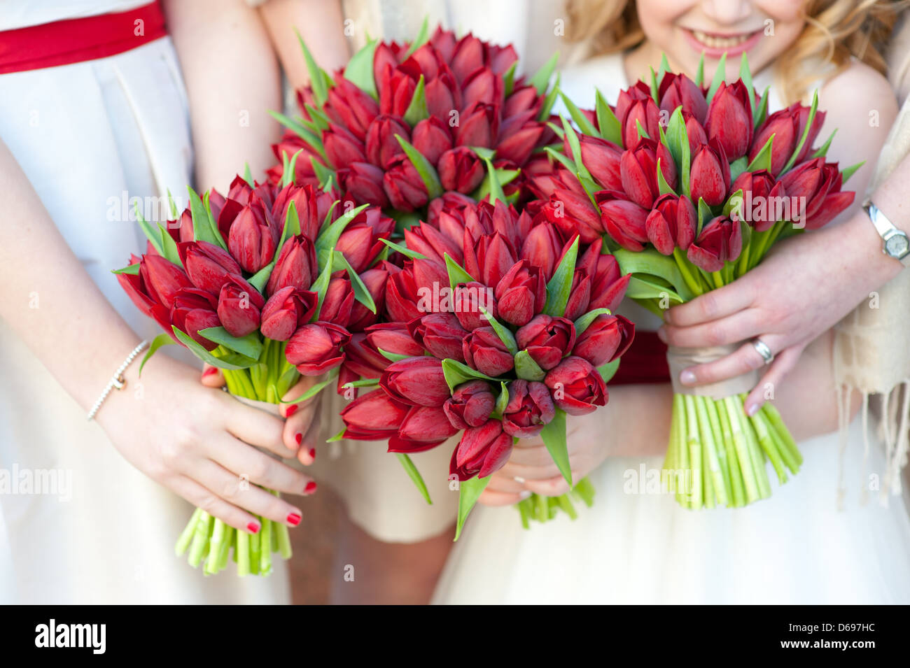 Las damas de honor la celebración de ramos de novia de nueva primavera tulipanes  rojos Fotografía de stock - Alamy