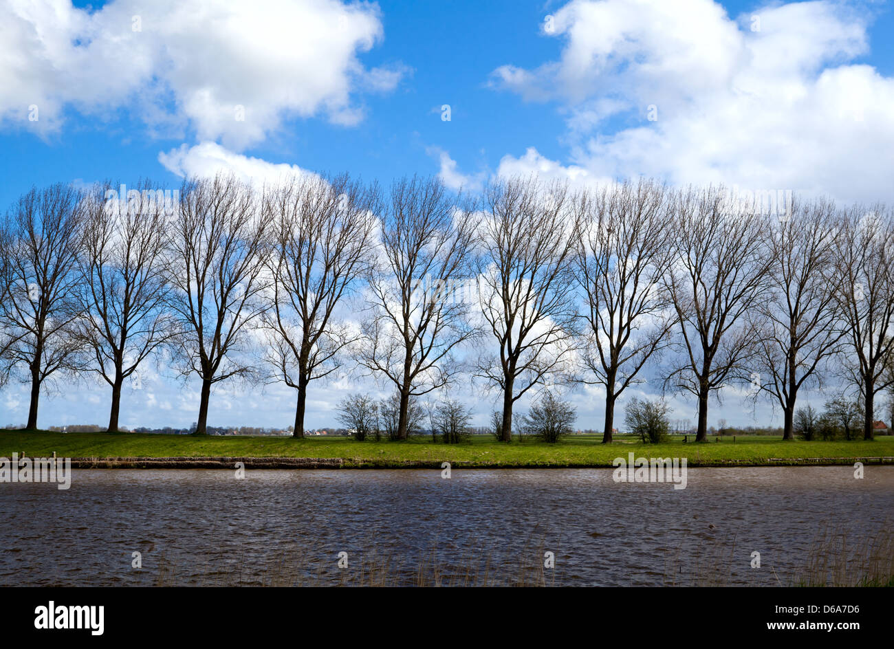 El Riverbank con árboles Foto de stock