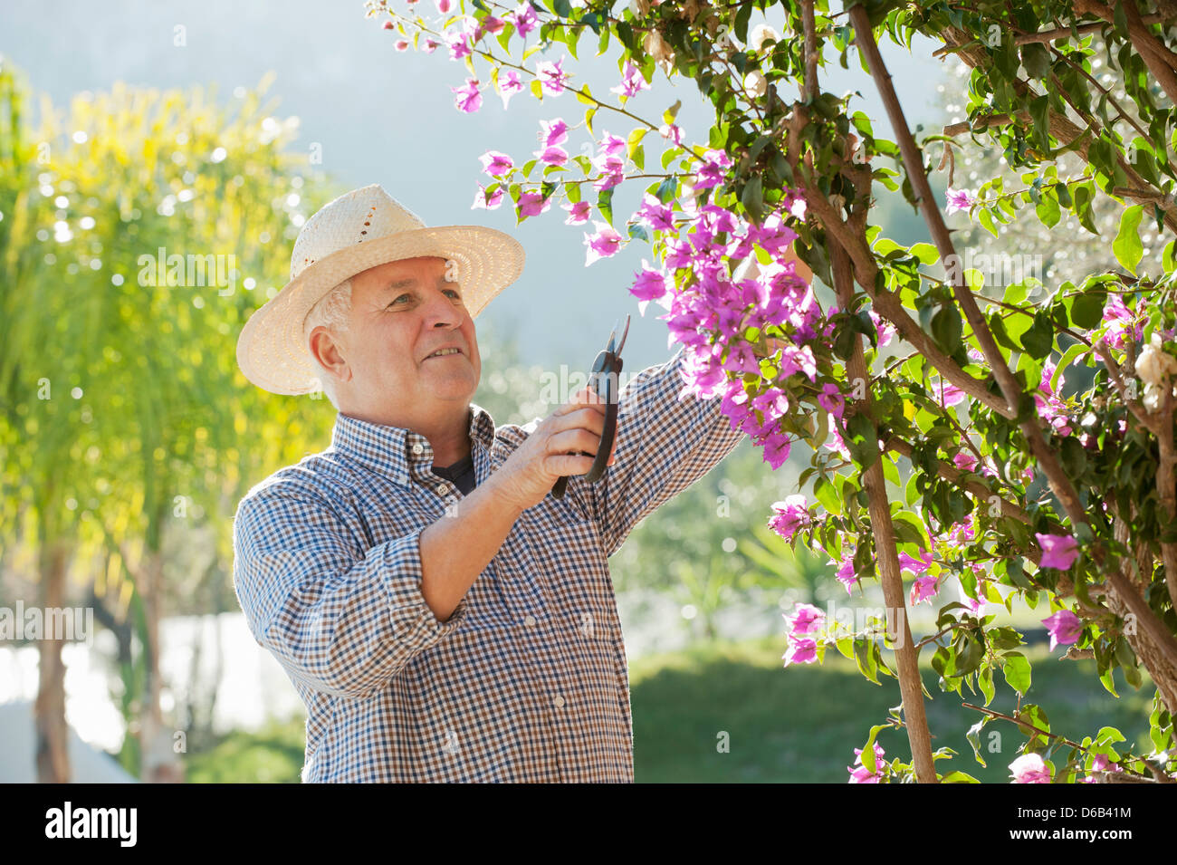 Anciano jardinería al aire libre Foto de stock