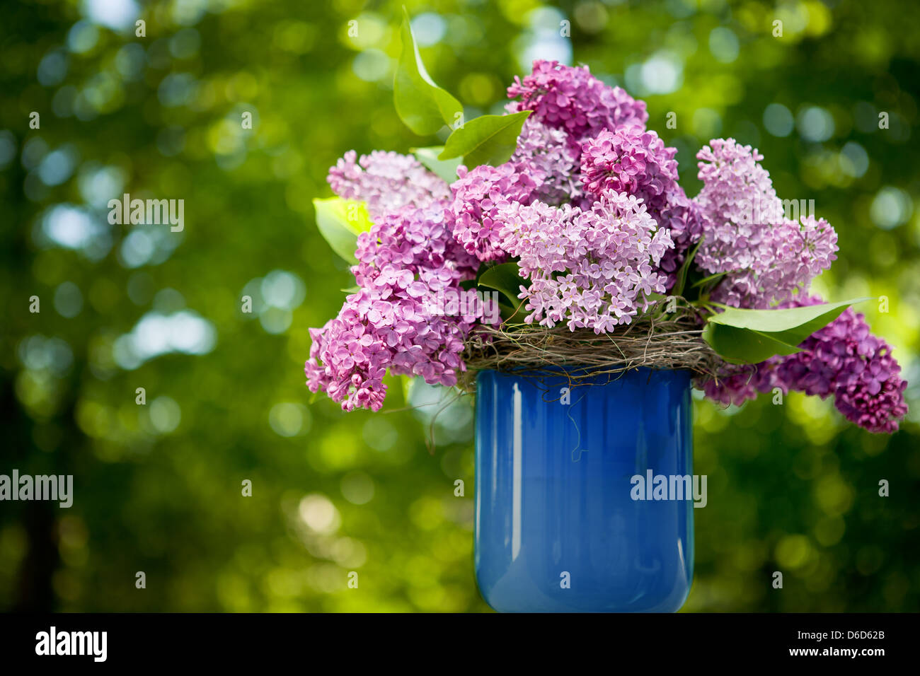 Ramo de flores de color lila Foto de stock