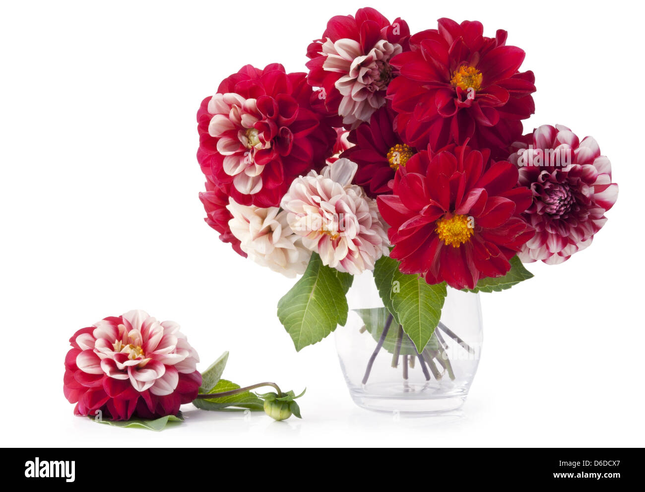 Bouquet de flores de color de sangre Foto de stock