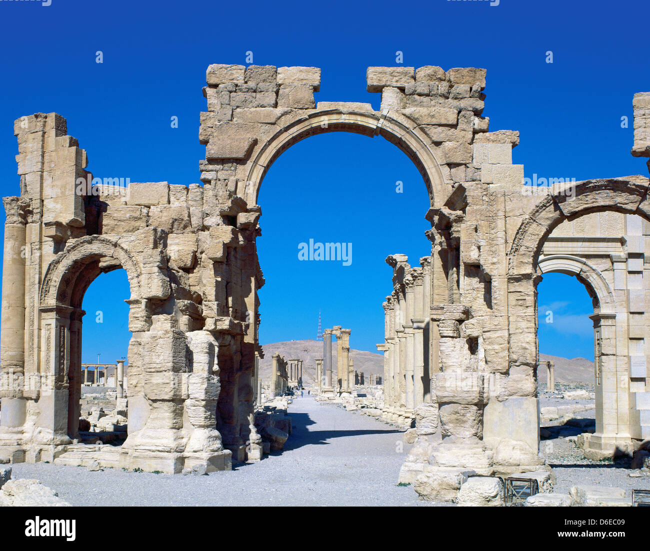 El arte romano de Siria. Palmyra. Pórtico de la columnata. 3º siglo. Oasis Tadmor. Foto de stock