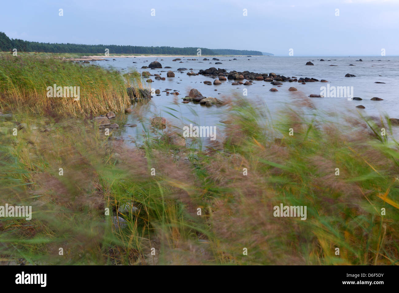 Por la tarde, en la ventosa costa de Hiiumaa, Estonia Foto de stock