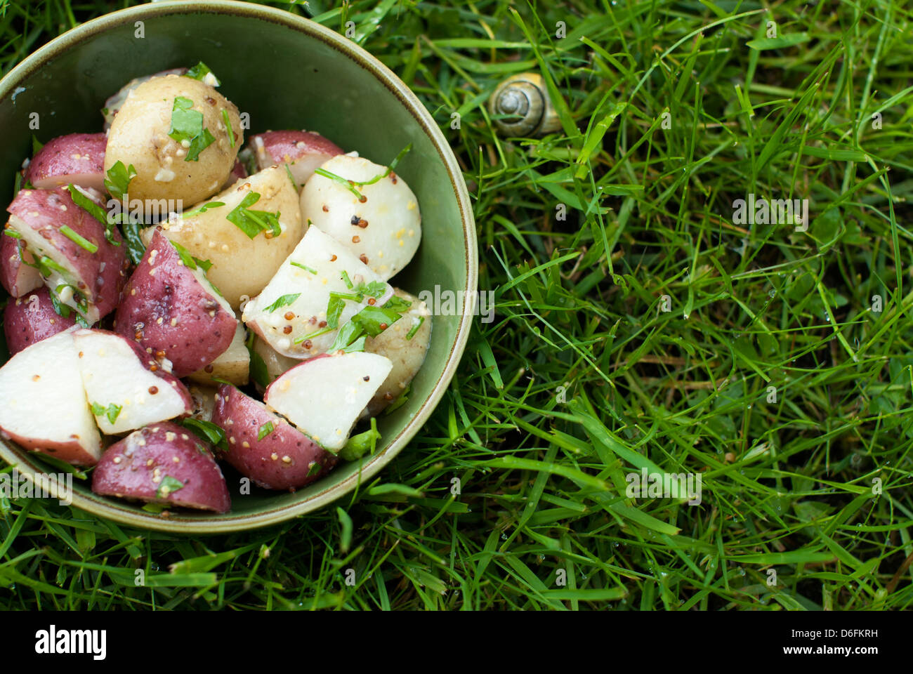 Un tazón de chunky ensalada de papas con vinagreta de Mostaza y hierbas frescas, sobre un campo de hierba alta. Foto de stock
