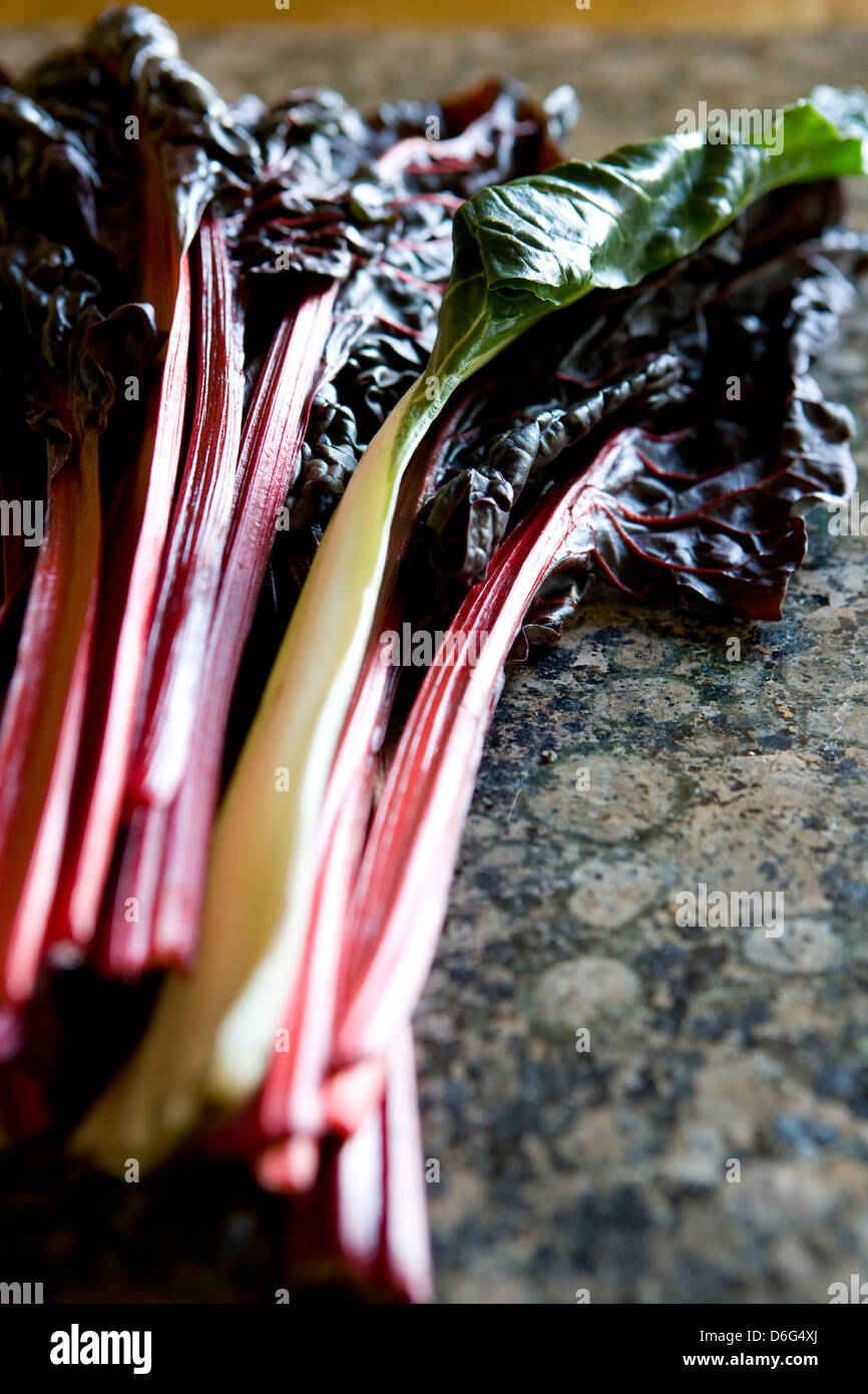 Acelgas de tallo rojo fotografías e imágenes de alta resolución - Alamy
