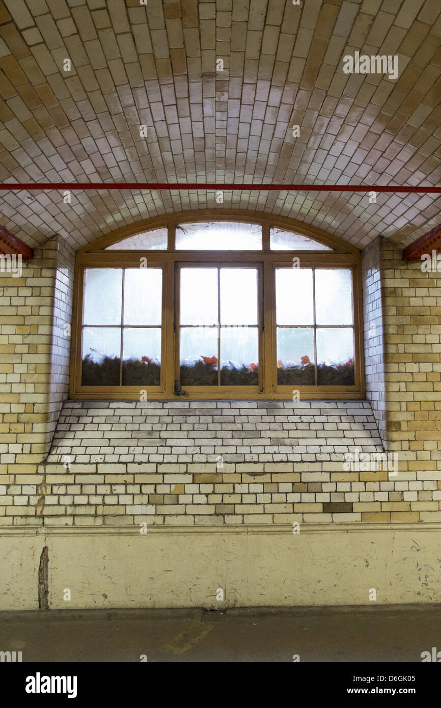 Marcos de madera en las ventanas con luz difusa que muestra la acumulación de hojas en el exterior Foto de stock