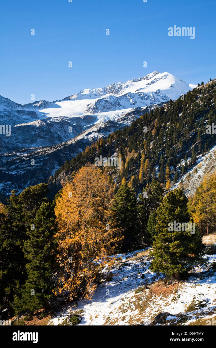 La parte superior del valle Martelltal en otoño con Mt. Zufallspitzen. El Tirol del Sur, Italia. Foto de stock