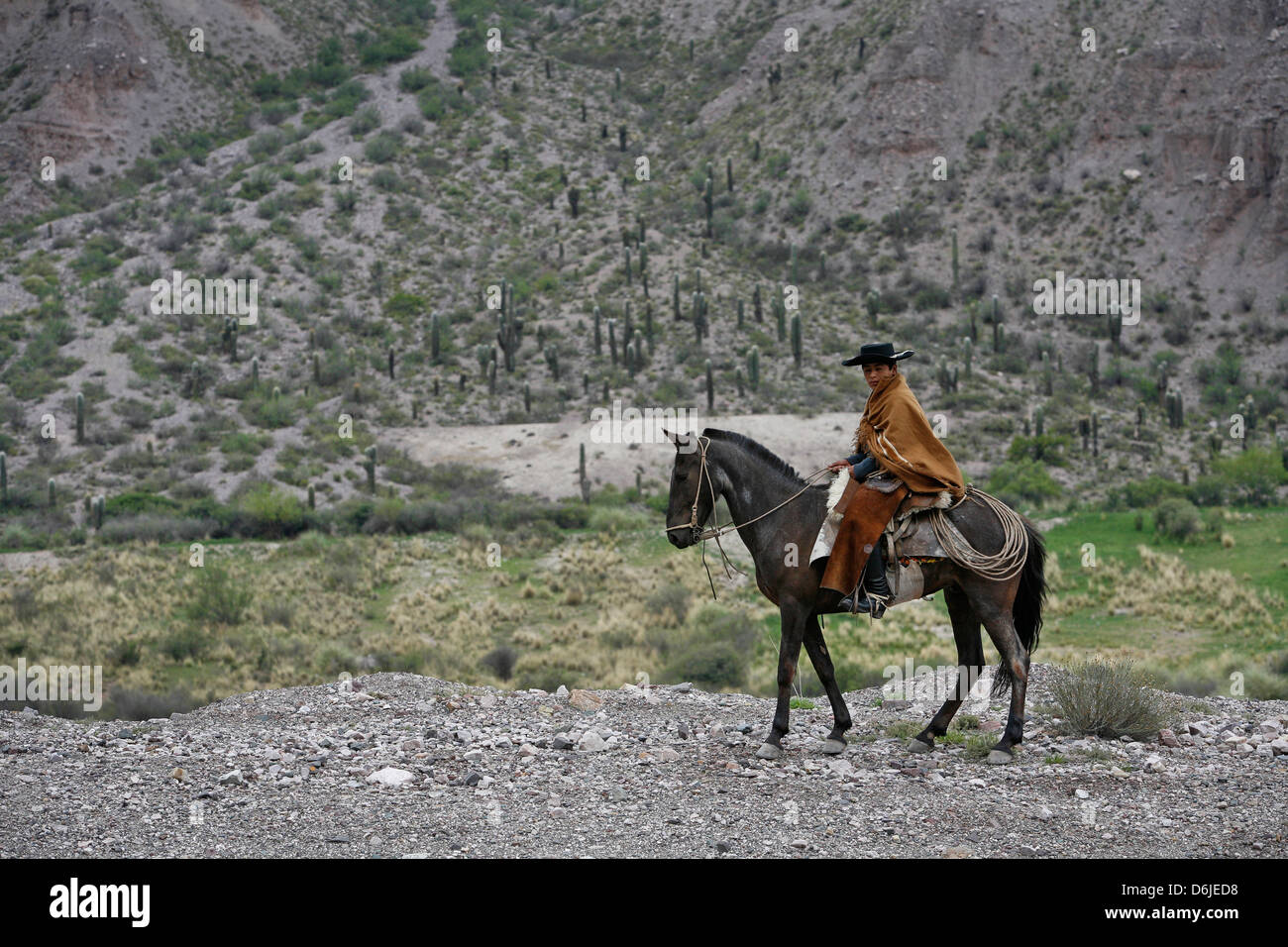 El norte gaucho a caballo cerca de Purmamarca, Quebrada de Humahuaca, provincia de Jujuy, Argentina, Sudamérica Foto de stock