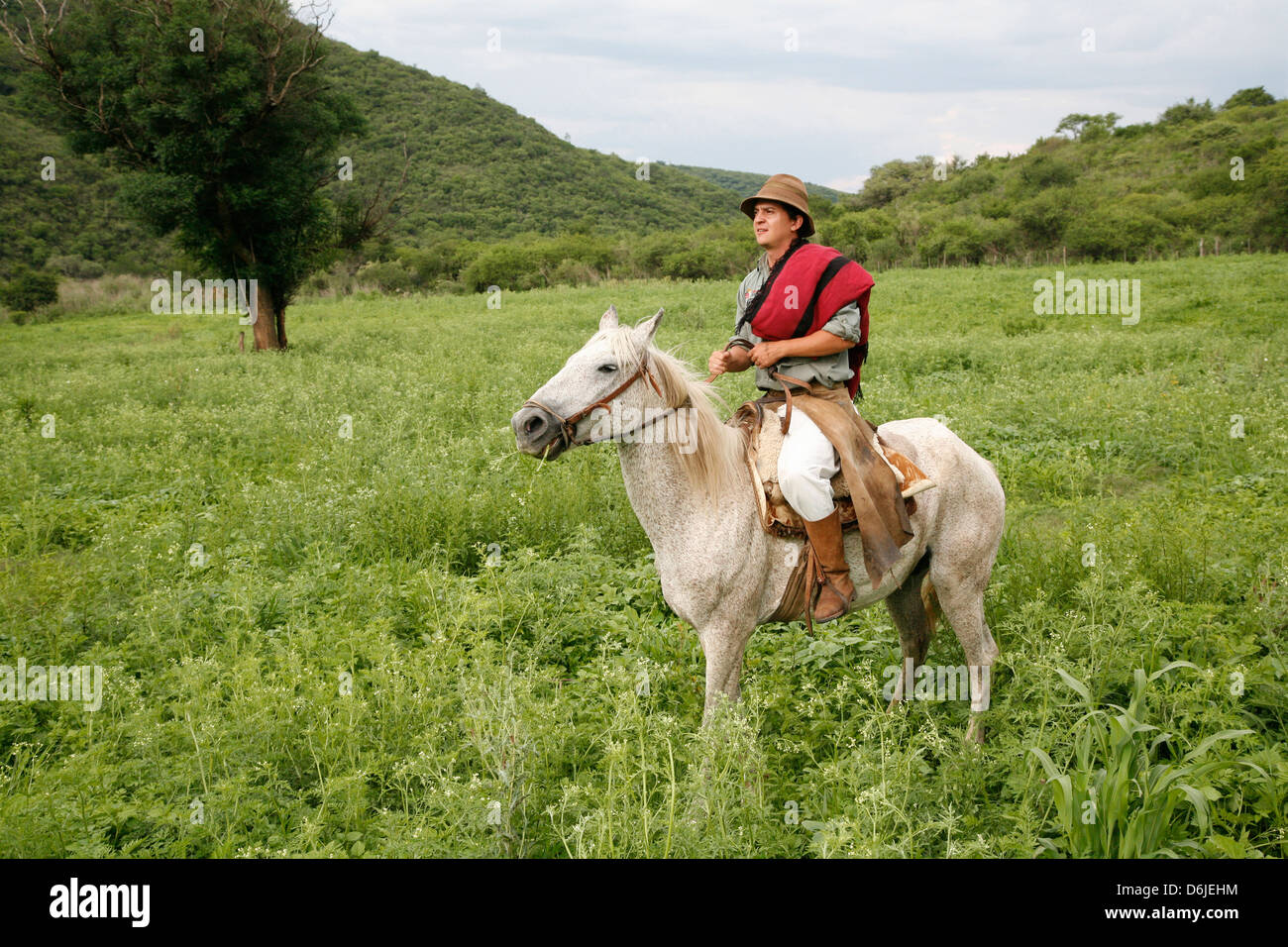 Gaucho a caballo en una estancia cerca de Güemes, Provincia de Salta, Argentina, Sudamérica Foto de stock