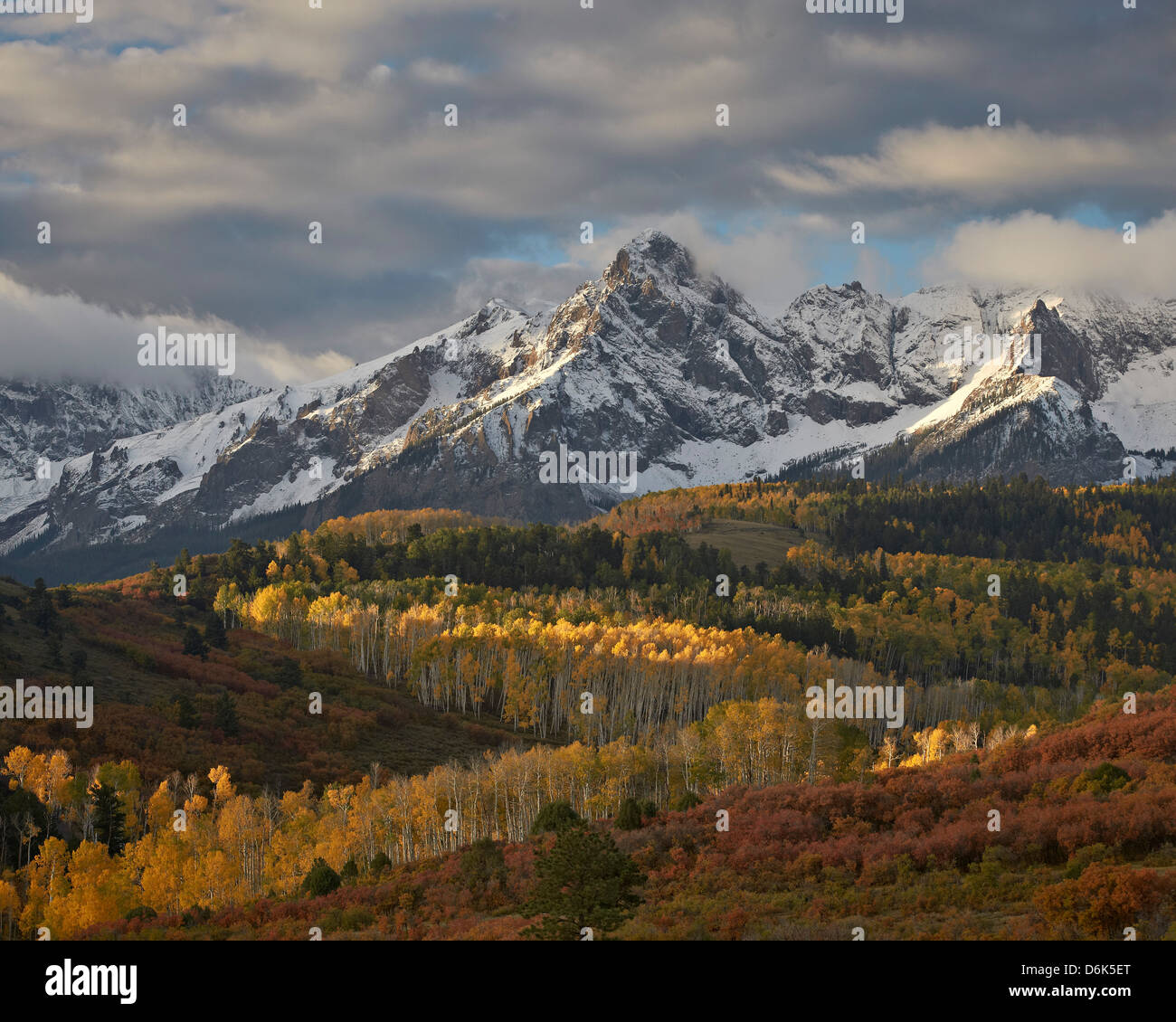 Mears Pico con nieve y álamos amarillos en el otoño, el Uncompahgre National Forest, Colorado, EE.UU. Foto de stock