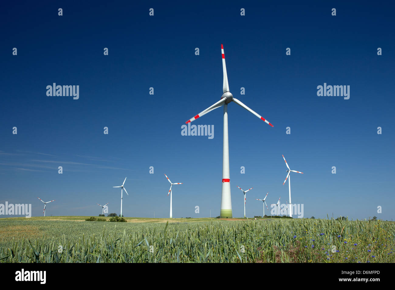 Nuevo campo, Alemania, el parque eólico la empresa Enertrag Foto de stock