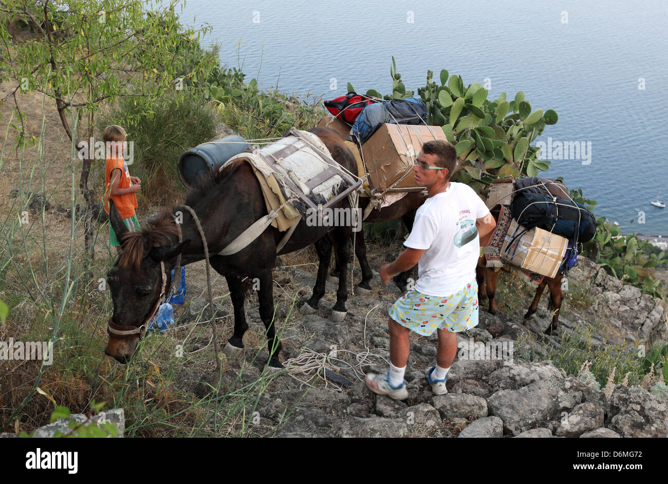 Alicudi, Italia, mulas llevando cajas y equipaje hasta una colina Foto de stock