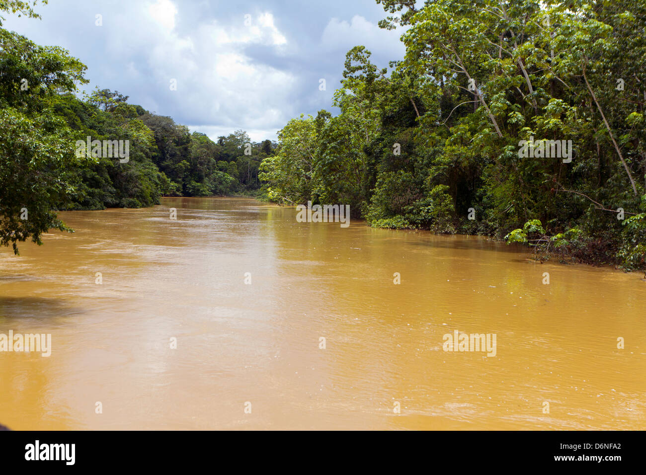 Rio Tiputini en la Amazonía ecuatoriana, el agua marrón con sedimento Foto de stock